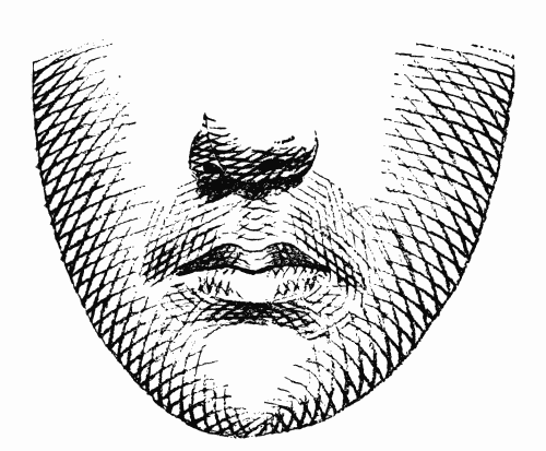 LINE EFFECT FOR FACE.

From the Annual Encyclopedia. Copyrighted, 1891, by D. Appleton & Co.
