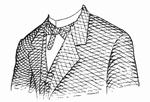 LINE EFFECT FOR DRESS.

From the Annual Encyclopedia. Copyrighted, 1891, by D. Appleton & Co.