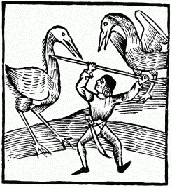 FIG. 21.—Pygmy and Cranes. From the 
