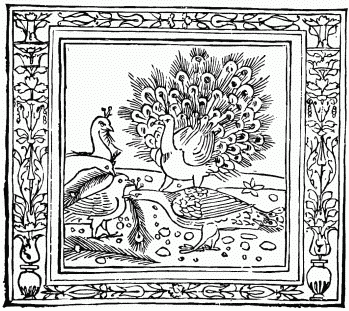 FIG. 23.—The Crow and the Peacock. From 