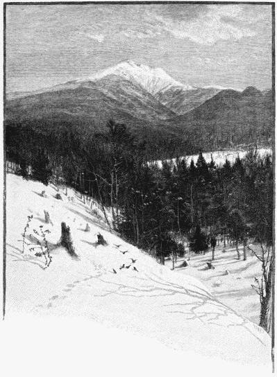 FIG. 79.—Mount Lafayette (White Mountains). By J.
Tinkey.