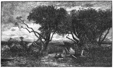 FIG. 81.—The Old Orchard. Engraved by F. Juengling.