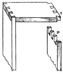 Fig. 268.—Through Dovetails on
    Carcase Work (P, Pins; T, Tails).