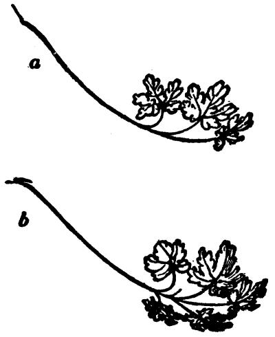 Fig. 38.