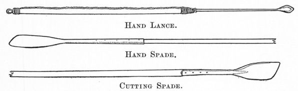 lances, spade illustration