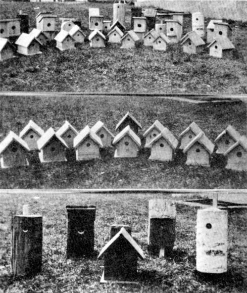 FIG. 11. HOUSES FOR WRENS AND BLUEBIRDS.