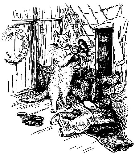 When
Robinson stepped on to the deck, he found himself face to face with a
large yellow cat who was blacking boots.