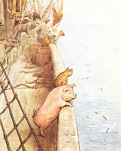 Robinson
and the cat were both on the side of the ship, watching a shoal of
silvery fishes