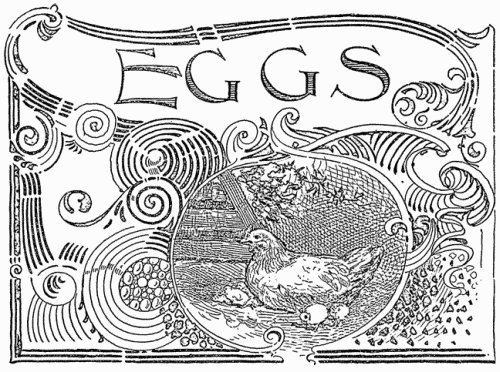 Eggs