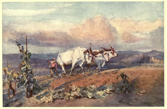 PLOUGHING IN TUSCANY