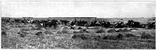 Half of harvest scene