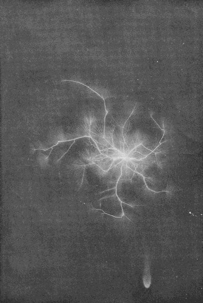PHOTOGRAPH OF THE NEGATIVE POLE OF AN ELECTRIC SPARK.