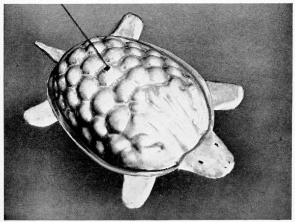 The Crawling Turtle's shell Is a Jelly Mould.