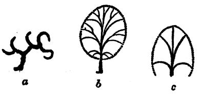 Fig. 17.