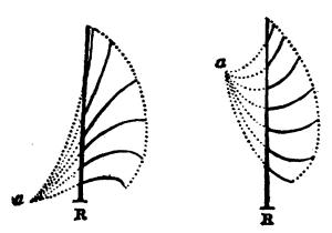 Fig. 43.