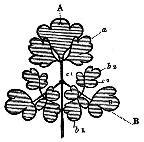 Fig. 47.