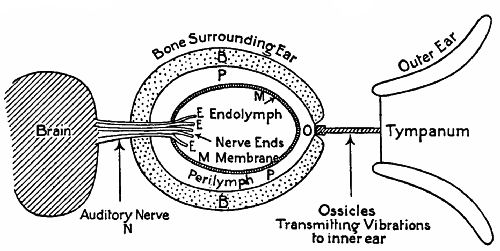 Fig. 133.