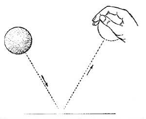 FIG. 61.—A bouncing ball illustrates the law of
reflection.
 