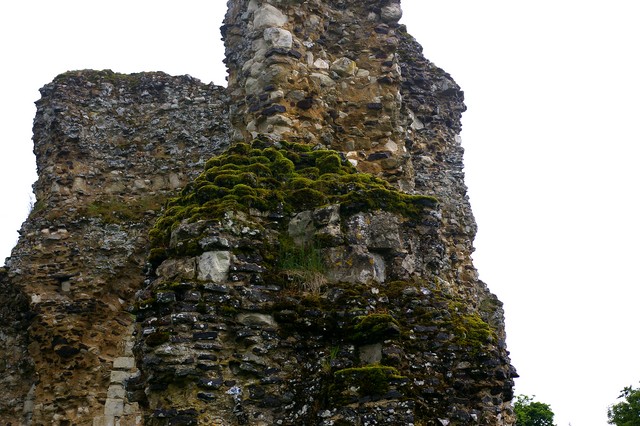 Waverley Abbey, Surrey