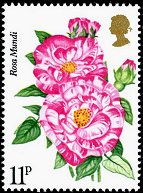 Postage Stamp