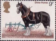 Postage Stamp