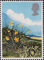 Postage Stamp