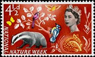 Postage Stamp Postage Stamp