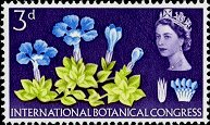 Postage Stamp