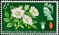 Postage Stamp Postage Stamp