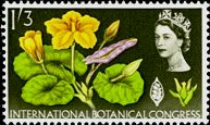 Postage Stamp Postage Stamp